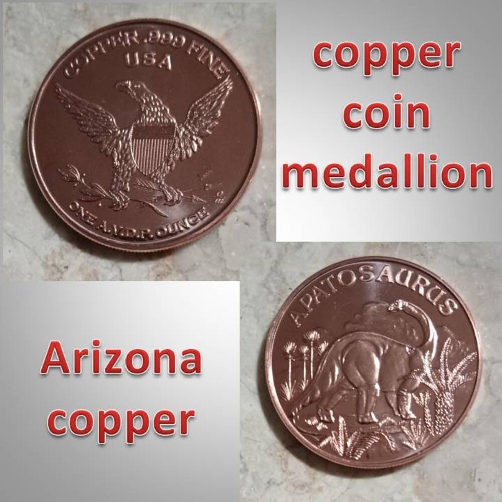 Copper coin medallion 1 oz with dinosaur design / eagle and case 02